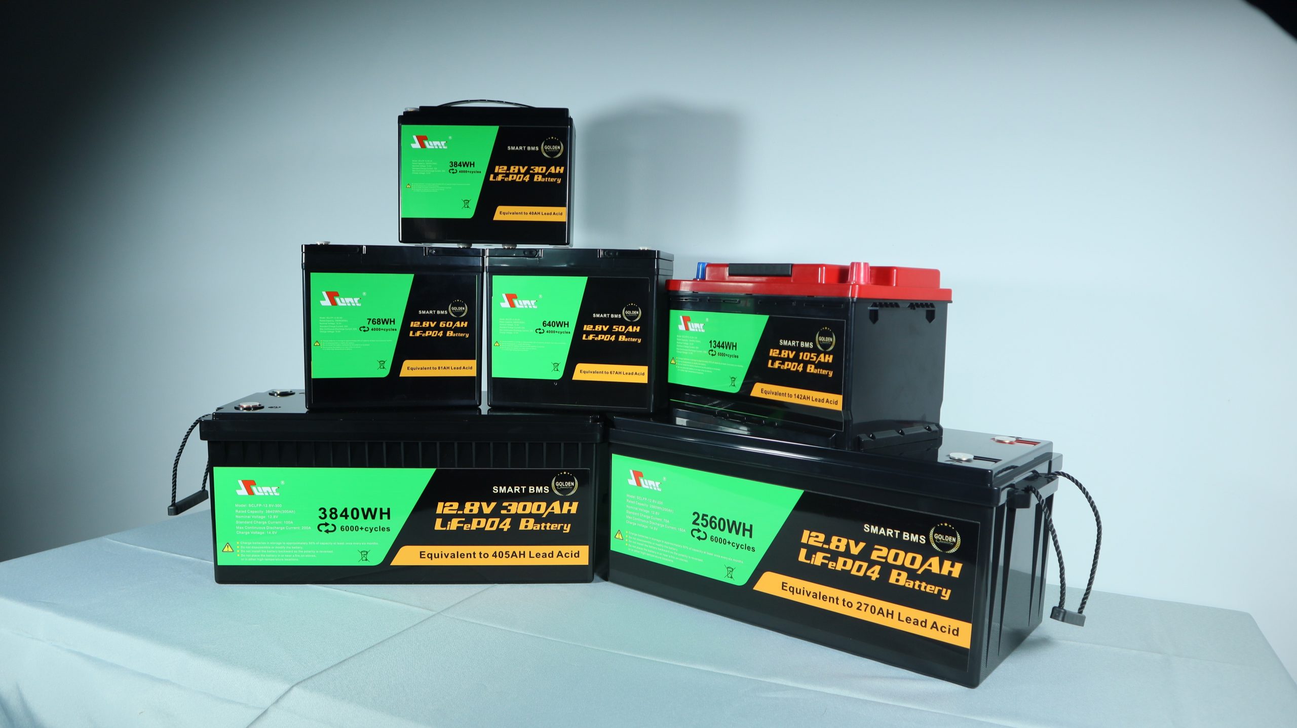 EnerVerge Lithium Battery - product photo